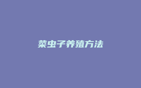 菜虫子养殖方法