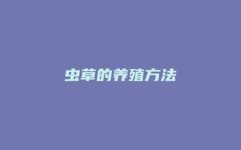 虫草的养殖方法