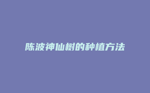 陈波神仙树的种植方法