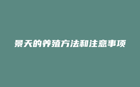 景天的养殖方法和注意事项