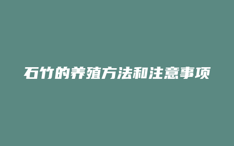 石竹的养殖方法和注意事项