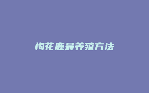 梅花鹿最养殖方法