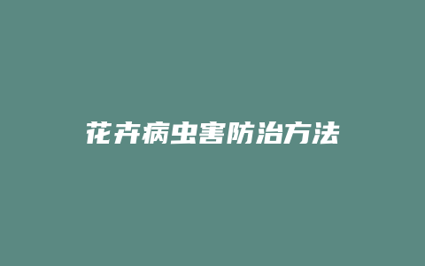 花卉病虫害防治方法