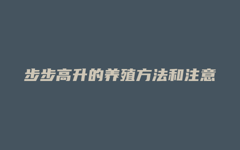 步步高升的养殖方法和注意事项