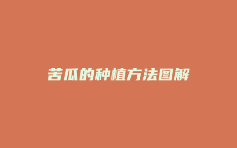 苦瓜的种植方法图解