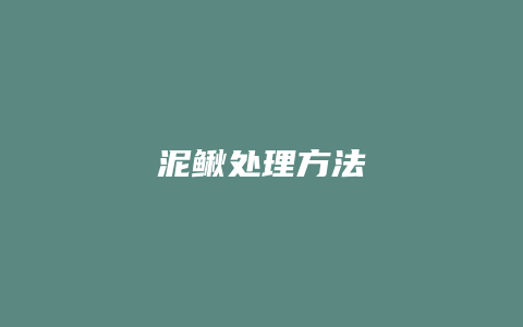 泥鳅处理方法