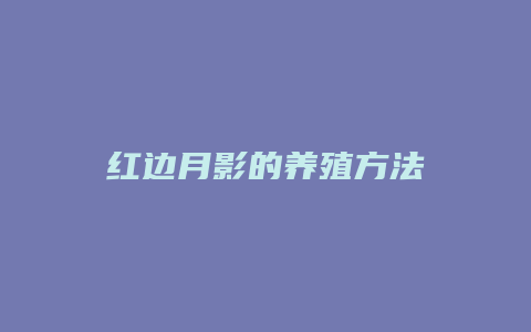 红边月影的养殖方法