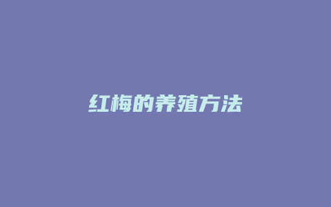 红梅的养殖方法