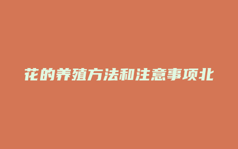 花的养殖方法和注意事项北方