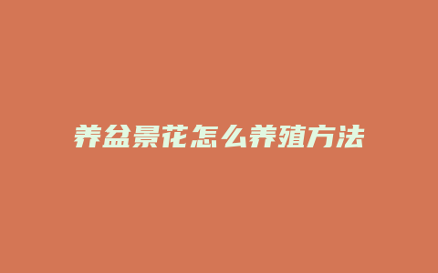 养盆景花怎么养殖方法