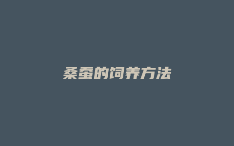 桑蚕的饲养方法