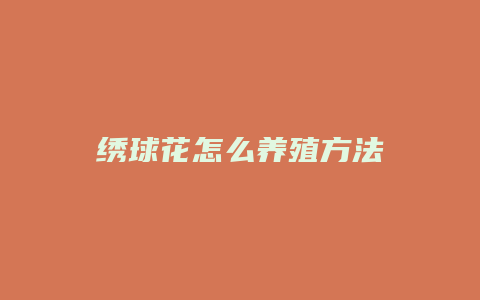 绣球花怎么养殖方法