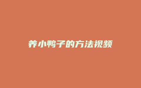 养小鸭子的方法视频