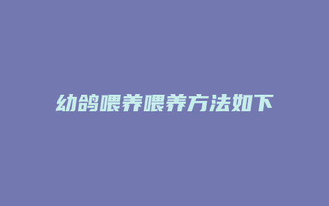 幼鸽喂养喂养方法如下