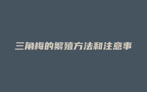 三角梅的繁殖方法和注意事项