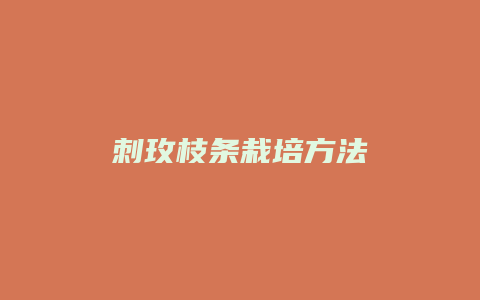 刺玫枝条栽培方法