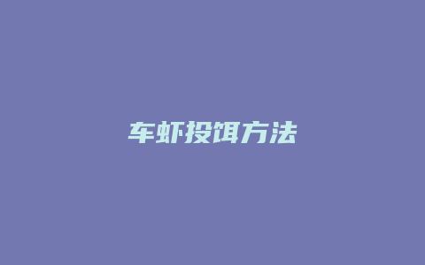 车虾投饵方法