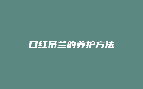 口红吊兰的养护方法