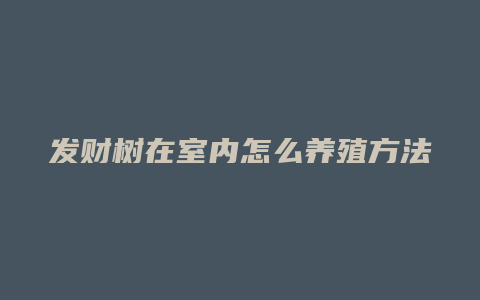 发财树在室内怎么养殖方法和注意事项