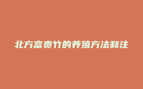 北方富贵竹的养殖方法和注意事项