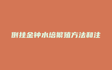 倒挂金钟水培繁殖方法和注意事项