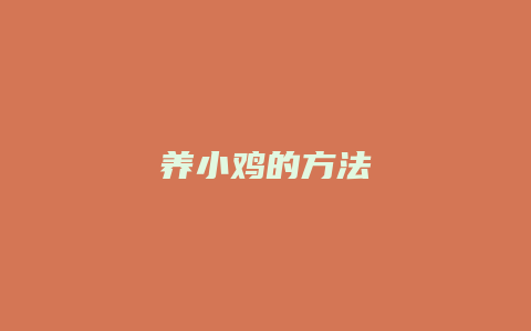 养小鸡的方法