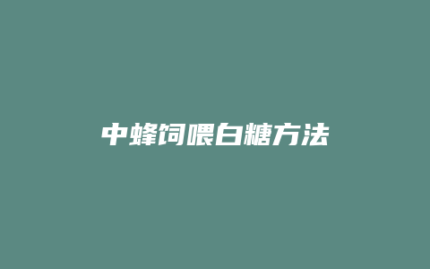 中蜂饲喂白糖方法