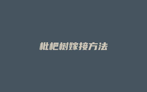 枇杷树嫁接方法