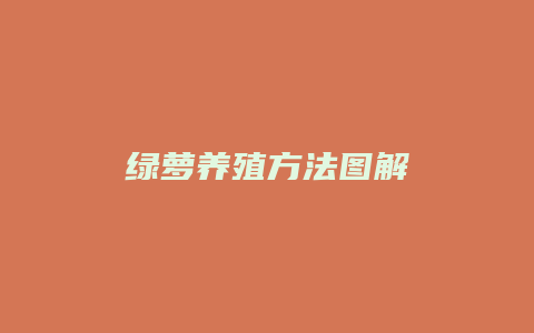 绿萝养殖方法图解