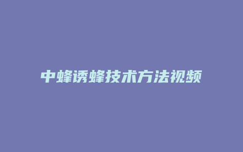 中蜂诱蜂技术方法视频