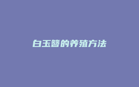 白玉簪的养殖方法