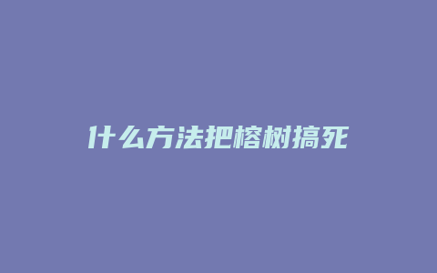 什么方法把榕树搞死