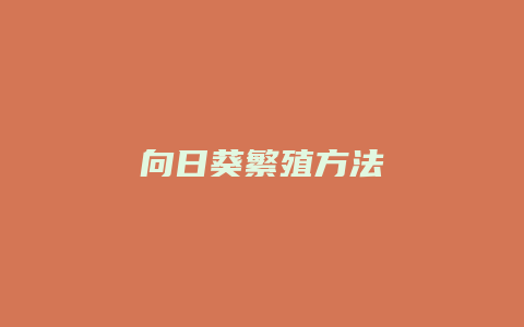 向日葵繁殖方法