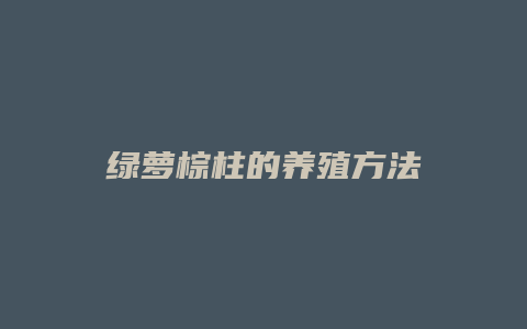 绿萝棕柱的养殖方法