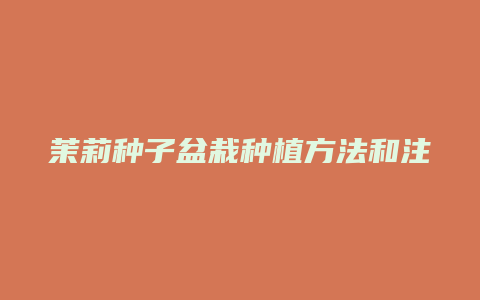 茉莉种子盆栽种植方法和注意事项