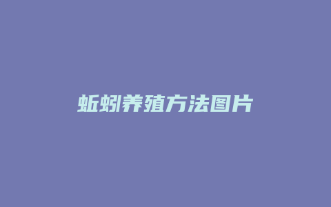 蚯蚓养殖方法图片