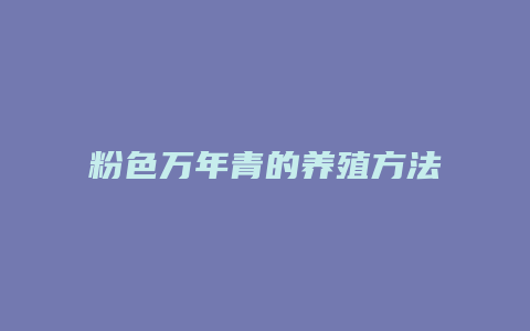 粉色万年青的养殖方法