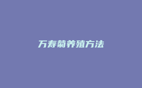 万寿菊养殖方法