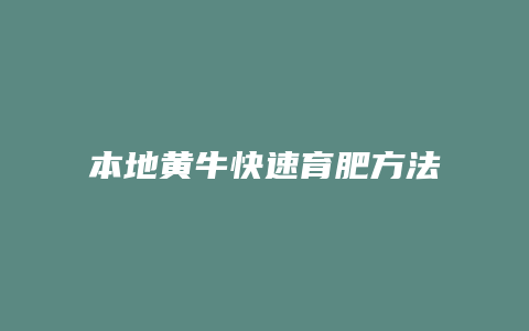 本地黄牛快速育肥方法