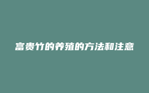 富贵竹的养殖的方法和注意方法