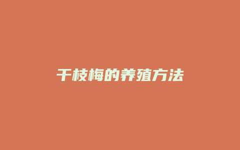 干枝梅的养殖方法