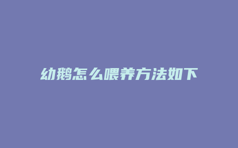 幼鹅怎么喂养方法如下