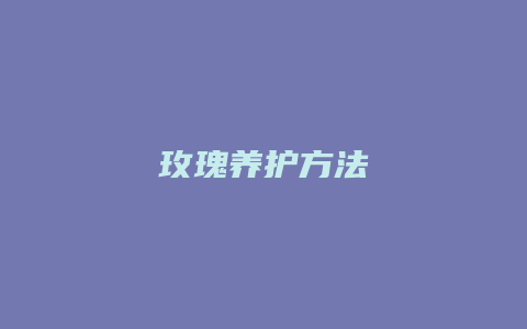 玫瑰养护方法