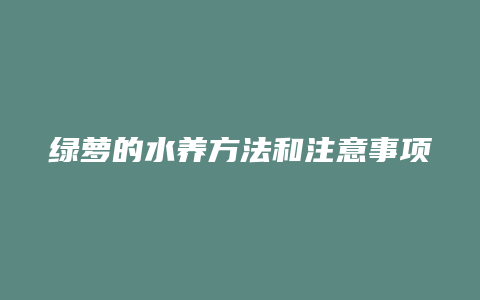 绿萝的水养方法和注意事项