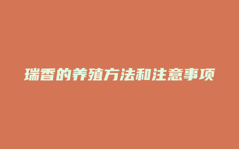 瑞香的养殖方法和注意事项