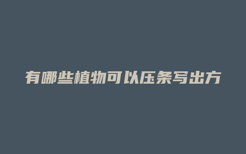 有哪些植物可以压条写出方法