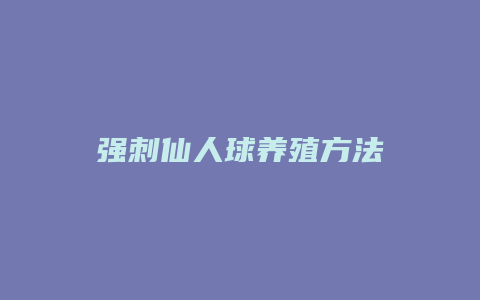 强刺仙人球养殖方法