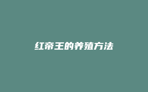 红帝王的养殖方法