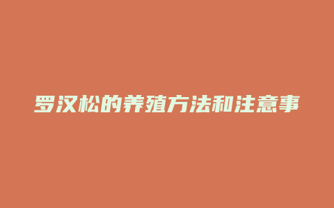 罗汉松的养殖方法和注意事项