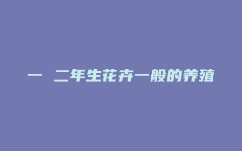 一 二年生花卉一般的养殖方法有哪些